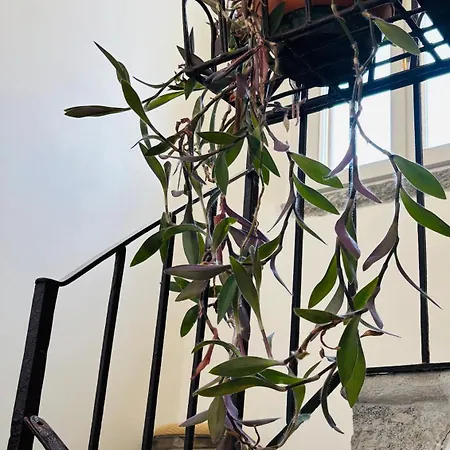 Casa Amata Apartmán *